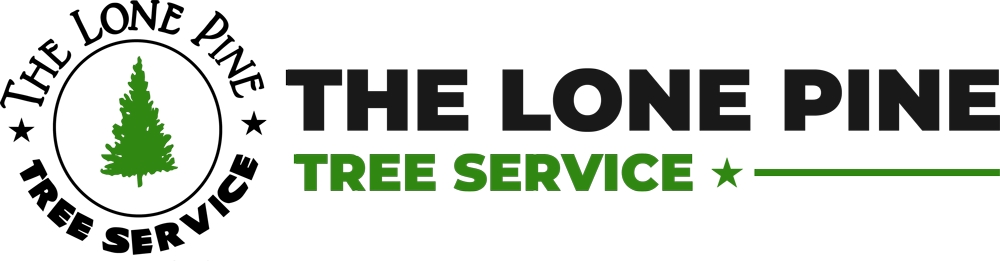 Lone Pine Tree Service Offers Licensed and Insured Tree Services to Keep Property Safe