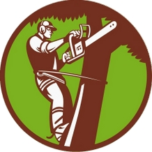 Jr & Dubon Tree Service Promotes Eco-Friendly Tree Care Solutions in Salisbury, MD