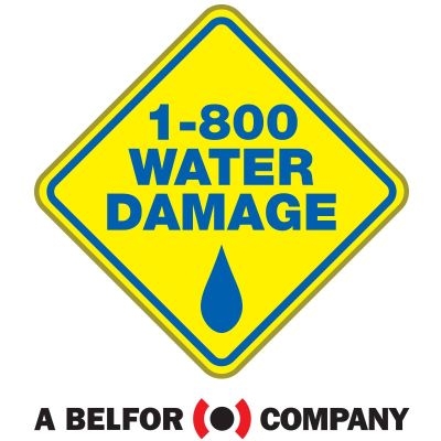 24/7 Mold Removal and Remediation Colorado Springs: 1-800 Water Damage Stresses Need for Urgent Response