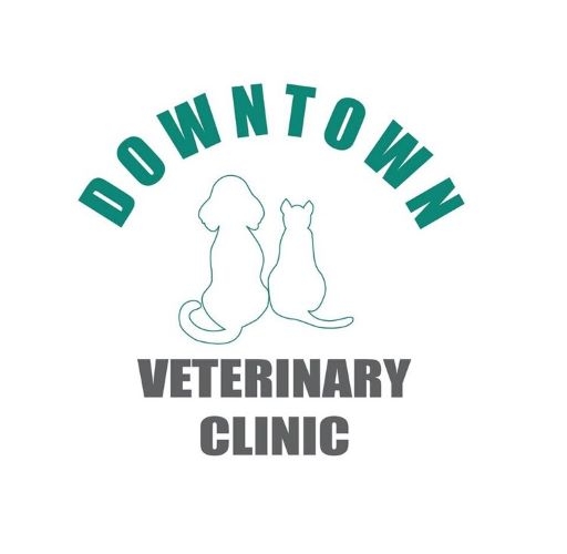 Downtown Veterinary Clinic Leads the Way in Pet Care Excellence in NYC