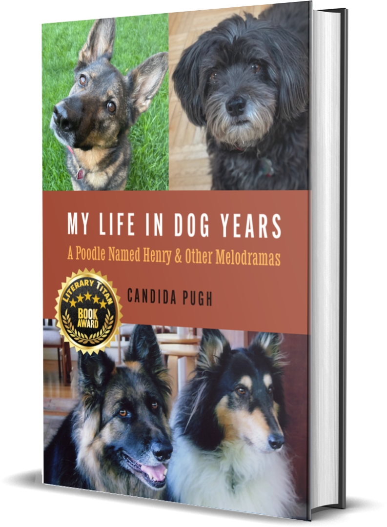 Award-Winning Memoir "My Life in Dog Years" Captures the Profound Bond Between Humans and Dogs