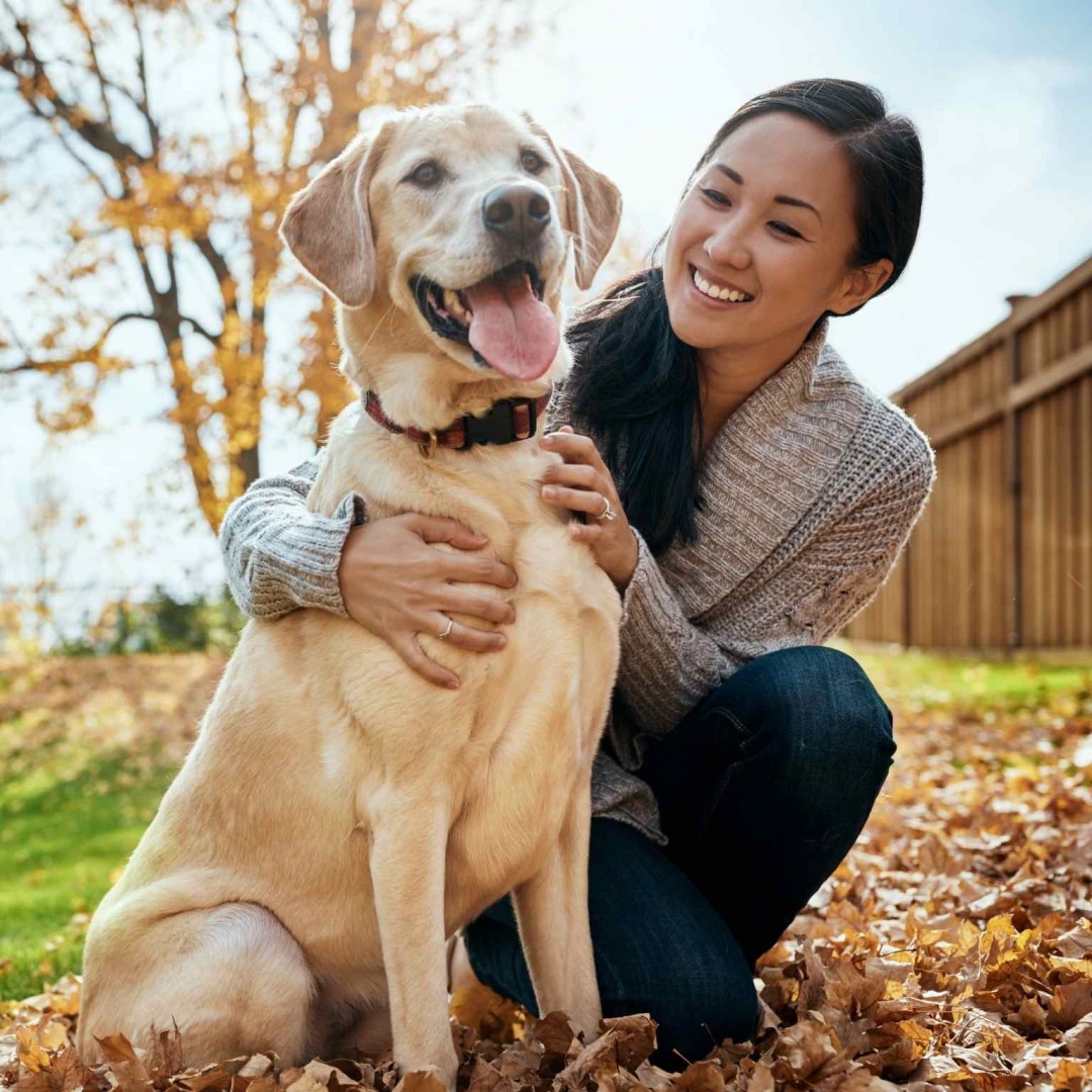 People and Pets Network helps people and pets find services they need.