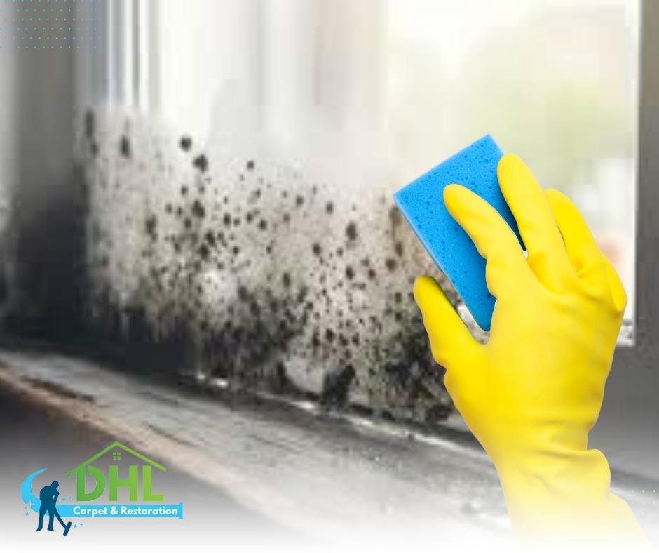 DHL Carpet & Water Damage Restoration Announces Advanced Mold Removal Initiative