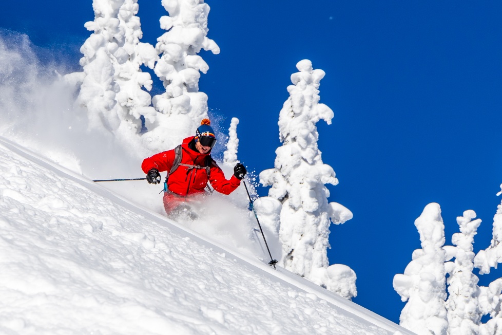 Skier: Dan Herby at Chatter Creek , British Columbia. Photo Credit Freeride Media